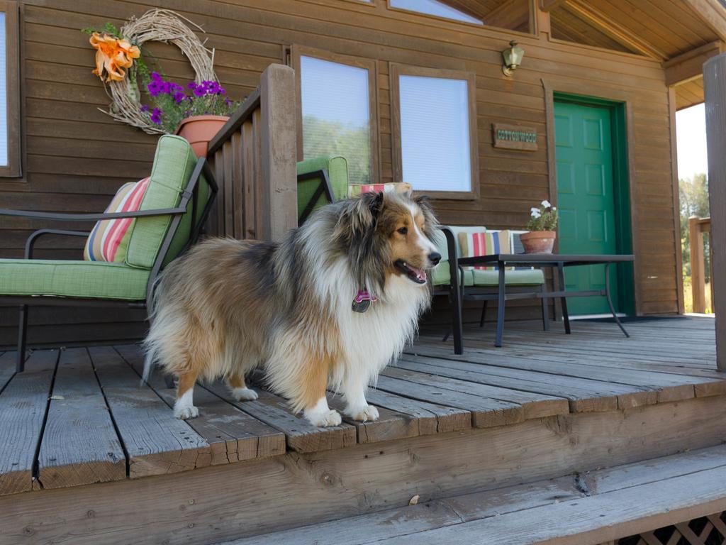 Hansen Guest Ranch Swan Valley Ruang foto
