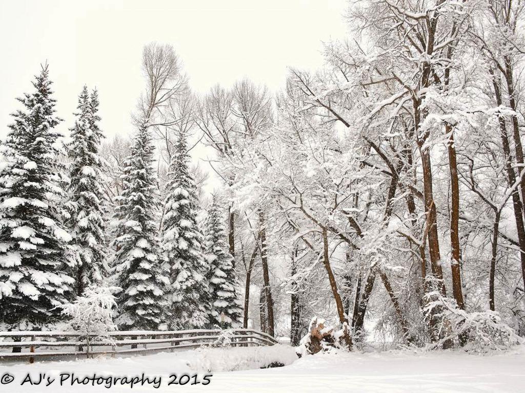 Hansen Guest Ranch Swan Valley Bagian luar foto